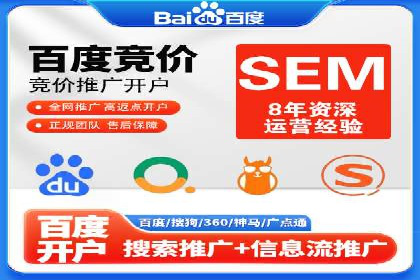 竞价广告策略案例分析